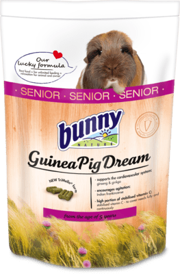 Bunny Nature GuineaPigDream Senior